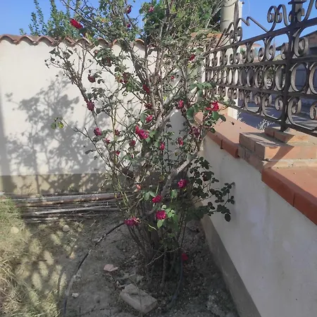 فيلة Ausilia Saline Joniche